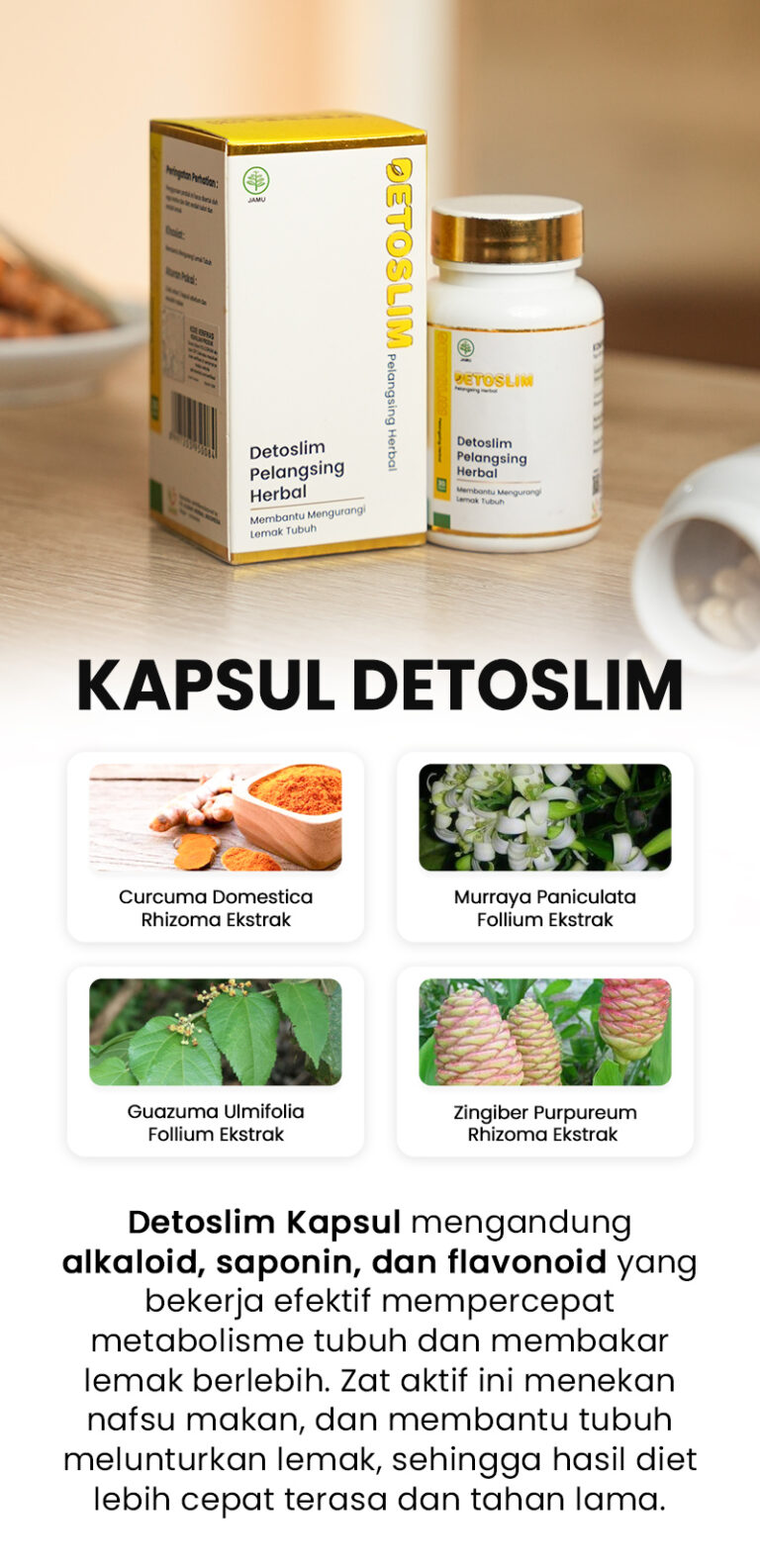 Kapsul1.jpg